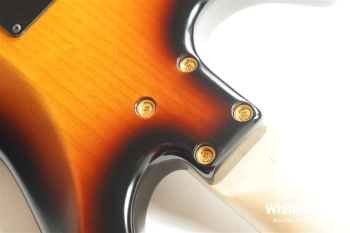 PREMERO STM ALDER - SUNBURST HALF MATT